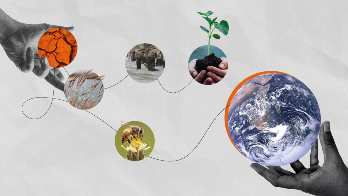 The climate crisis takes centre stage at NAC&#8230;