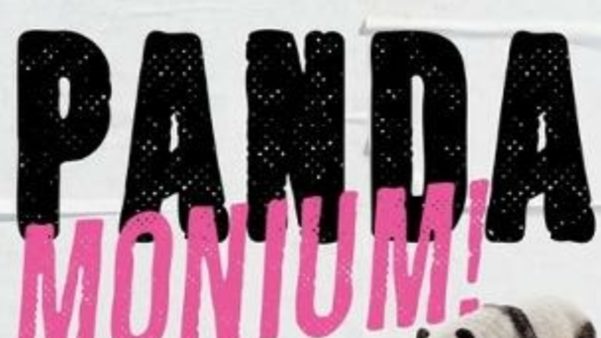 Pandamonium! How Not To Run A Record Label &#8211; Book Q &#038; A (BAR)