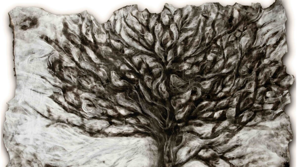 Pandora for Example Book Launch