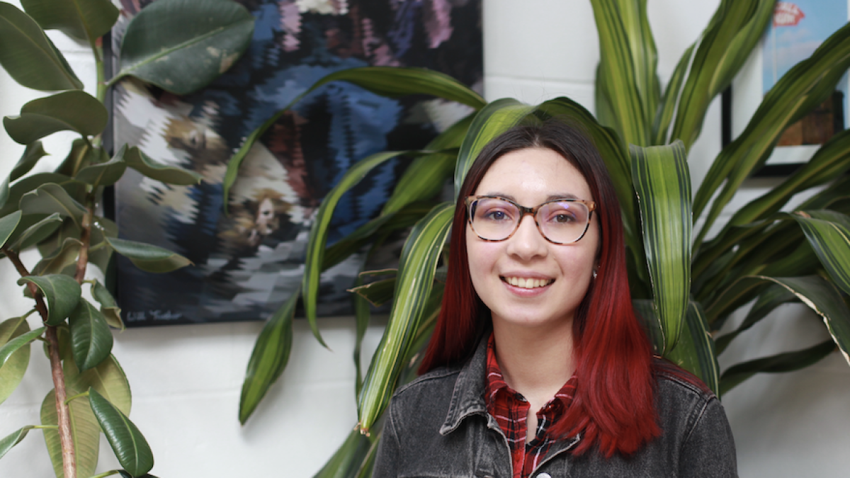 Norwich Uni Student Placement