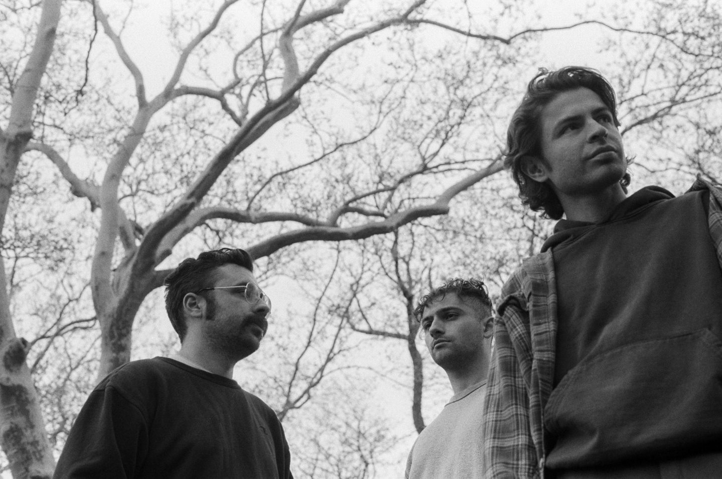 A black and white photo of the head and shoulders of three people looking in different directions. Behind them are the bare branches of a tree. A black and white photo of the head and shoulders of three people looking in different directions. Behind them are the bare branches of a tree.