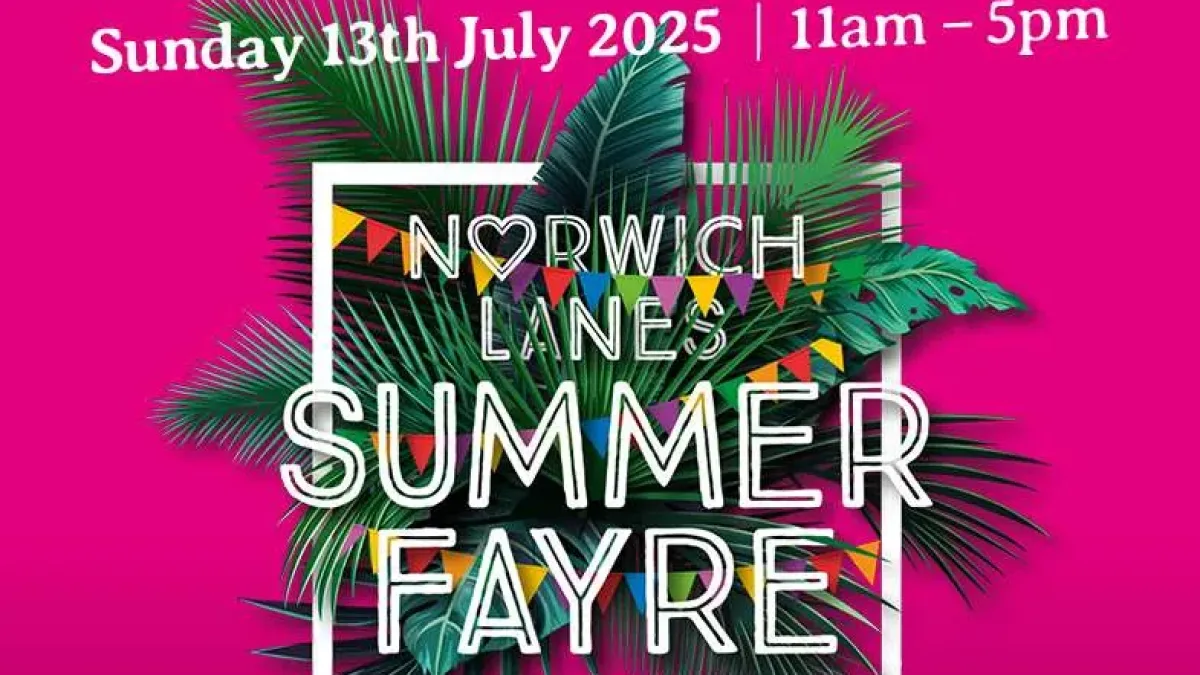 Norwich Lanes Summer Fayre