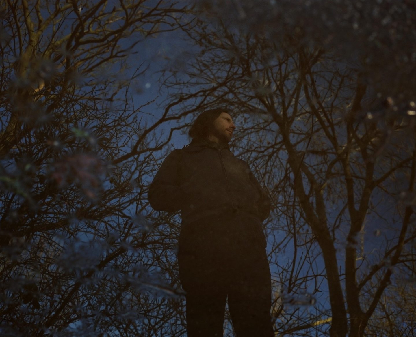 An image of a person seen from below. They are wearing dark clothes and looking to the side. Behind them are silhouettes of bare trees against the night sky. An image of a person seen from below. They are wearing dark clothes and looking to the side. Behind them are silhouettes of bare trees against the night sky.
